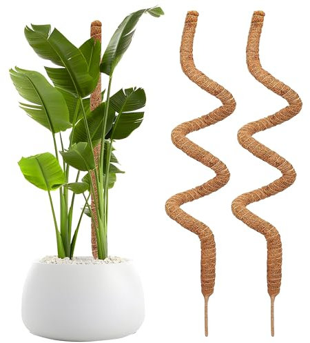 Monstera-Pflanzenstütze für Pflanzen, 78,9 cm, biegbar, Moosstange für Pflanzen, Monstera, Moosstangen für Kletterpflanzen, Pflanzstäbe, Stäbe für Zimmerpflanzen, Topfpflanzen, 2 Stück