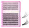 Mlen Diary 100pcs Individual Eyelashes,10-16mm einzelne D Curl Manga Cluster Lashes,DIY Eyelash Extensions Kit,Cat Eye Wimpern Natürlichen Look Manhwa Wimpern(3 IN1 Sandwich Girl)
