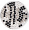 Morella Damen Schmuckmünze Coin 33 mm Zirkoniastein-Muster schwarz-Silber-grau