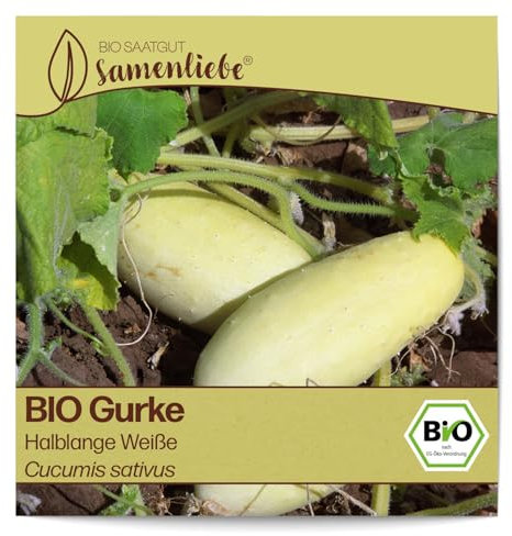 Samenliebe BIO Gurken Samen Halblange Weiße Salatgurke weiß 10 Samen samenfestes Gemüse Saatgut für Gewächshaus Freiland und Balkon BIO Gemüsesamen