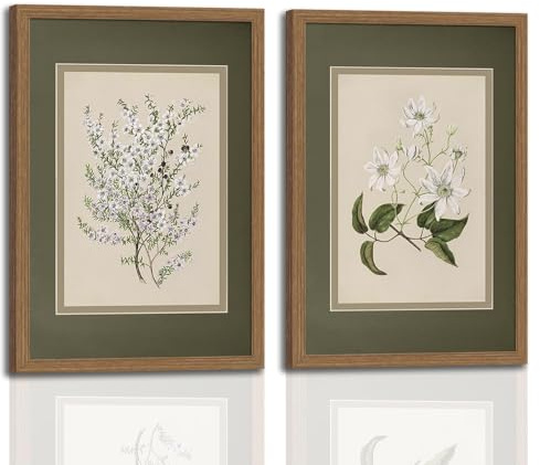 2Pcs Framed Canvas Wall Art Vintage Print Paintings Flower Drawing Plant Manuka Neutral Floral Nature Retro Aesthetic Artwork for Home Living Room Bathroom Farmhouse Wall Decor 30x40 cm Ready to Hang