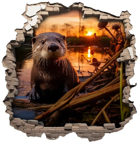 Samunshi® Wanddeko Wandriss mit Otter Fenster in andere Welt Portal Wallart Wandtattoo für Wohnzimmer Küche Wandaufkleber Wandsticker 70x70cm