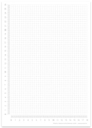 Karierter Block DIN A4 | seitlich abgedrucktes Lineal | 30 Blatt zum Abreißen | mathematisches Papier karierter Block | zum Beschreiben und Skizzieren (DIN A4)