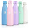 HoneyHolly Gourde Isotherme, Acier Inoxydable 18/8, Bouteille Isotherme, 500ML Sans BPA, Gourde Inox Enfant, Étanche Double Isolation, Bouteille Inox pour Le Camping, Les Écoles, Les Gymnases
