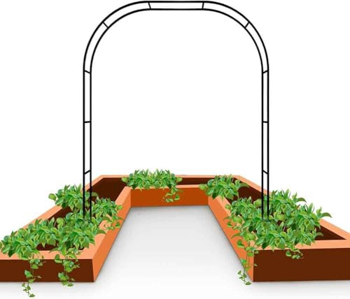 Arche de jardin en métal noir - 2,4 m de large - Robuste et résistante aux intempéries - Pour décoration de jardin de mariage - 2,4 m x 2,2 m