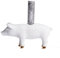 Good old Friends Scheinchenhalter Schwein