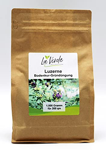 Luzerne 1000 Gramm Samen - Bodenkur
