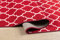 GULLAMBO Washable Non-Slip Door Mat - Super Absorbent Dirt Trapper for Wooden Floor, Kitchen, Hallway - Indoor Runner Rug (40x60, Red)