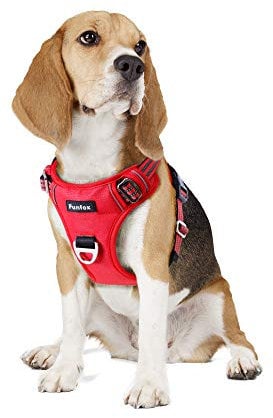 Funfox Hundegeschirr Mittelgroße Hunde [M] - Verstellbares Anti-Zug Brustgeschirr mit Griff & Reflektorstreifen, Atmungsaktives No Pull Hundegeschirr für Grosse/Kleine Hunde Outdoor Rot