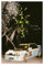 BSapp Travis Scott Cactus Jack Jackboys Poster Leinwand Poster Wandkunst Dekor Druck Bild Gemälde für Wohnzimmer Schlafzimmer Dekoration 20 x 30 cm