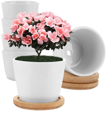 MUXHEL 12 pièces Mini Pots de Fleurs en Céramique, 6.9 x 6.6cm Pot de Succulent en Céramique, Pot de Cactus Bonsaï, pour Le Décor de Balcon de Bureau à Domicile