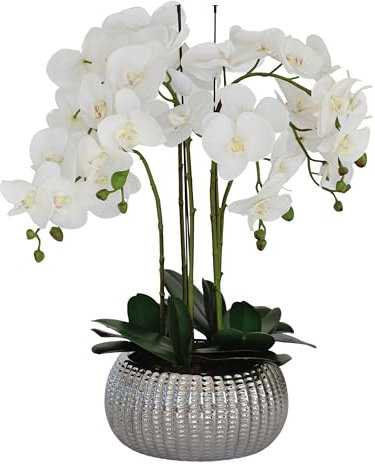 GreenBrokers Elegant Large Six Stem Butterfly White Real Touch Artificial Potted Orchid (65cm) In Decorative Silver Ceramic Pot