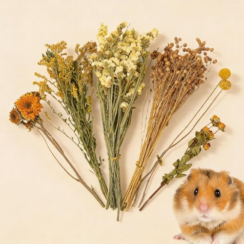 Zyntora Hamster Einstreu Blumen Natürliche Rennmaus Käfig Dekoration