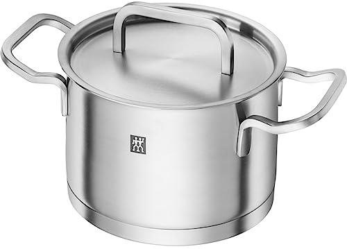 Zwilling Moment Stainless Steel Matte Cooking Pot, stainless steel, Matte Stainless Steel, ⌀20 cm