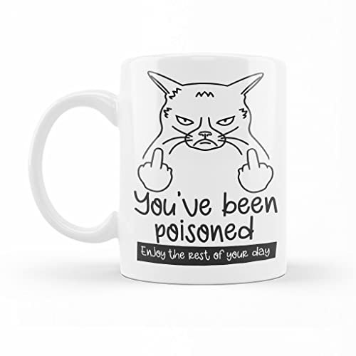 934 Drinking Cup Unique Ceramic Mug Funny Porcelain Mug Fun Gifts for Birthdays Christmas Office 330Ml You Have Been Poisoned Mug Enjoy The Rest of Your Day