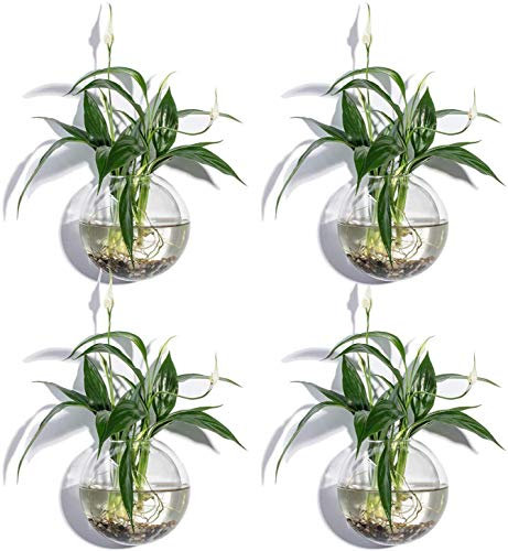 KNIKGLASS Wand-Terrarien, niedliche Glas-Wandschale, Heimdekoration, Glas-Pflanzgefäße für Luftpflanzen, Wasserpflanzen, Tillandsien-Halter, Wandvase, 4 Stück