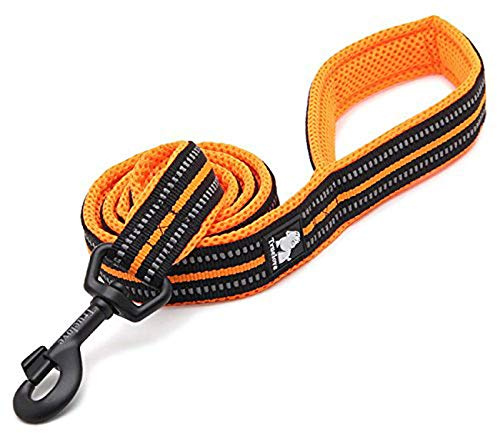 WINHYEPET Dog Leash Nylon Reflective,110cm Length(Orange,L) | Truelove Comfortable Handle Lead Puppy Training Walking Rope Easy Control Suitable Small Medium Large Breeds