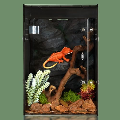 12x12x18 Reptiliengehege - Acryl Reptilienbecken für Gecko, Schlange und Eidechse - Kompaktes PVC-Terrarium für kleine Haustiere
