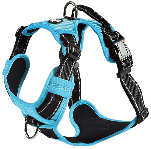 Bobby Rando Walk Harnais pour Chien, Petit Chien, en Nylon, sûr, Confortable, réfléchissant, réglable, Bleu, S/32-48x1,6 cm