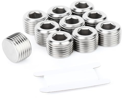 TAISHER 10 pièces en acier inoxydable 304, bouchon mâle 3/8BSP, pour l'eau, l'huile, l'air et le gaz