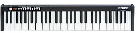 Fame DPP-61 Digital Piano, Leichtgewichtige 61-Tasten, 128 Sounds, 128 Rhythmen, USB MIDI, Inklusive Transporttasche, Compact Portable