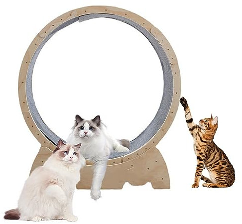 Katzenlaufband, Katzen-Laufrad, Laufrad mit Verriegelungsmechanismus, Haustier-Laufband, Fitness, niedliche Möbel, Spielzeug, Haustier-Verlustgerät, Gelb