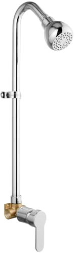GBBNE Kit de douche d'extérieur avec robinet de douche extérieur avec poignée unique pour le jardin, avec pommeau de douche haute pression et valve, chrome poli