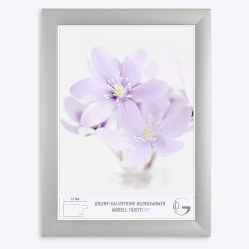 Online-GalleryKing OGK Thirtyfive - Bilderrahmen 28x38 cm Silber matt mit MDF Holz Rahmen vollummantelt, Anti-Reflex Kunstglas 1 mm und HDF Rückwand 3 mm - Fotorahmen für Hoch- und Querformat