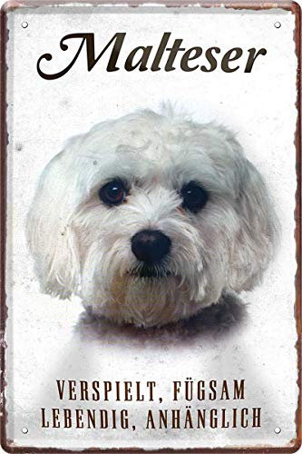 Malteser Hund Steckbrief 20 x 30 cm Deko Spruch Blechschild Blech 284