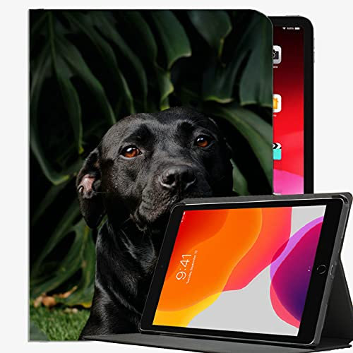 Smart Case für iPad Air 1. Edition Fallabdeckung, Labrador Retriever Labrador Dog Case Slim Shell Cover für iPad Air 9,7 Zoll