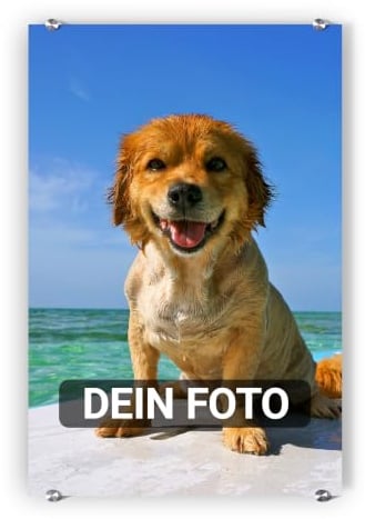 artboxONE Pixum Acrylglas 45 x 30 cm (hoch) eigenes Foto als Acrylglas - Acrylglasbild mit Wunschmotiv - Personalisierbares Geschenk