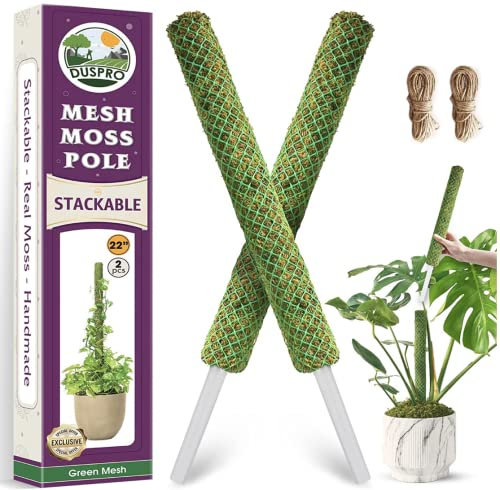DUSPRO Paquete de 2 postes de musgo de malla apilable verde de 38 pulgadas para plantas, trepadoras, soporte de enrejado Monstera, para plantas de interior, varillas de musgo extensibles, para