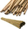 AHS Natural Bamboo Canes - Strong Heavy Duty Bamboo Plant Support - Professional Thick Garden Canes - Bamboo Stake Pole Trellis - Indoor Outdoor Plants Support Stakes - 2FT 4FT 6FT Cane (10, 4FT)