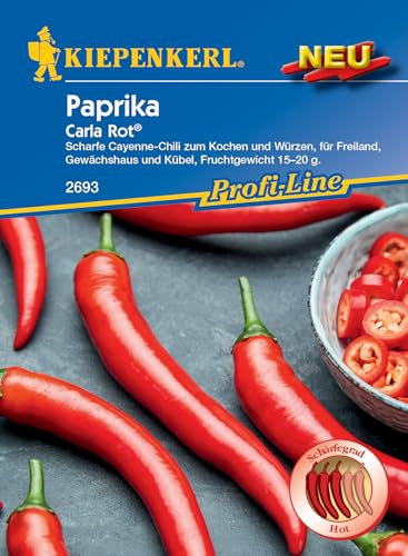 Kiepenkerl Profi-Line Chili-Paprikasamen Carla Rot® (Koh Samui, F1) - Resistente F1-Hybride, Ideal für Hochbeet, Scharfe Cayenne-Chili, Paprika Samen für Freiland & Kübel, Profi-Line Gemüsesamen