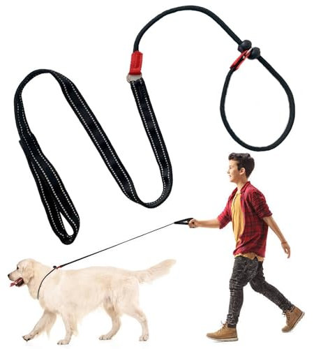 Nylon Slip Leash, 4.5FT Puppy Rope Lead - 2 in 1 Collar & Leash, Durable Training Walking Lead, Adjustable for Small Medium Dogs (Black)