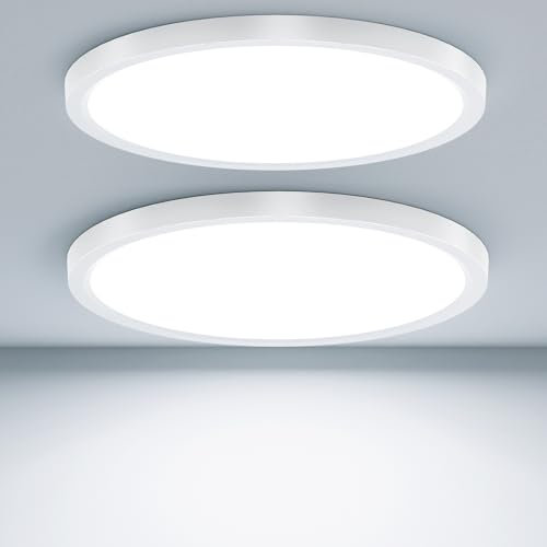 Taipow 18W 2448LM Lamparas de Techo Modernas, 6500K Plafon led Techo Redondo Plana, IP44 Delgada Lampara para Pasillo Balcón Cuarto de Baño Dormitorio Sótano, Ø22CM (2 Pieza)