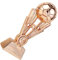 Toyvian Calcio Resina Placcata con Base Coppa Premio per Scuole Uffici e Kindergarten Bronzo per Festeggiamenti e Riconoscimenti AI