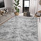 ASIinnsy Hochflor Teppich Wohnzimmer Flauschig Shaggy Weich Modern Grau Teppich Schlafzimmer Kinderzimmer Deko Langflor Teppiche Groß rutschfest Plüsch-Teppiche (Grau Weiß, 160 x 200 cm)