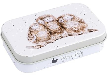 Wrendale Designs Mini-Dose mit Eulen-Motiv