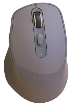 rirue X7 Wireless Silent Mouse Bluetooth Dual Mode Design, Adjustable 5-Speed DPI for Laptop PC Game Gray