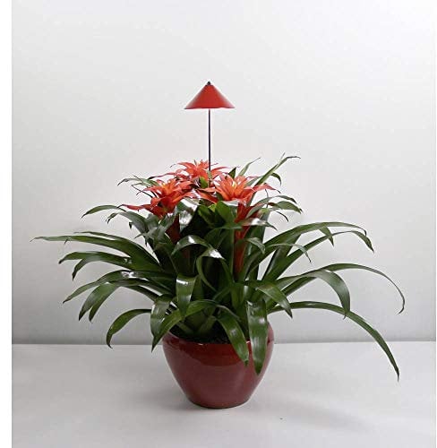 Venso EcoSolutions SUNLiTE Rot-Pflanzenlampe
