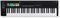 Novation Launchkey 61 [MK3] MIDI Keyboard Controller — Seamless Ableton Live Integration. Chord Mode, Scale Mode, and Arpeggiator. All the software you need for Music Production.