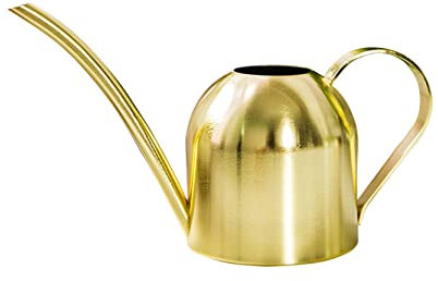 Anawakia Annaffiatoio in acciaio inox con beccuccio lungo, annaffiatoio moderno per piante (1000 ml, oro)