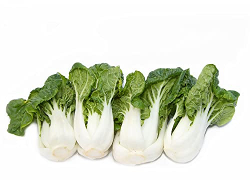 Cabbage Seeds - Pak Choi - Extra Dwarf - 3 g Packet ~1080 Seeds - Non-GMO, Heirloom - Asian Garden Vegetable & Microgreens