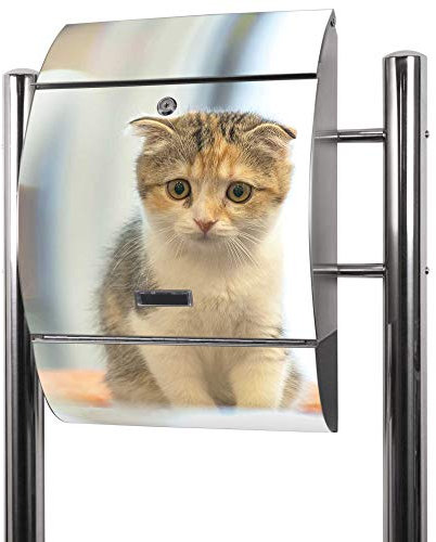 banjado® Standbriefkasten Edelstahl mit Zeitungsfach Motiv Kleine Katze / Briefkasten mit Standfuß & Namensschild / Edelstahl Briefkasten freistehend - A4 Einwurf inkl. 2 Schlüssel