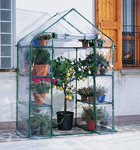rama Serra da Giardino in Acciaio 8 Ripiani con Telo Ibiscus Verde