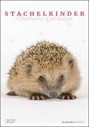 Stachelkinder - niedliche Igelbabys - Kalender 2021 - Alpha-Edition-Verlag - Wandkalender mit zauberhaften Fotos und Platz zum Eintragen - 24 cm x 33,8 cm - Spiralbindung