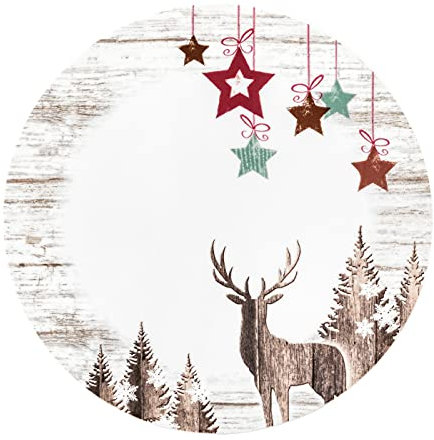 Seltmann Weiden 2 x Frühstücksteller rund 22,5 cm Life Christmas