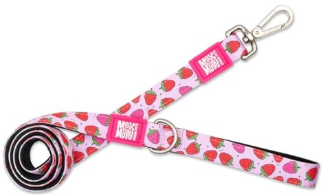 Max & Molly Klassische Hundeleine, 1,2 m, Neopren, weich gepolstert, helles farbechtes Design, maschinenwaschbar, für kleine, mittelgroße und große Hunde (Größe XS)