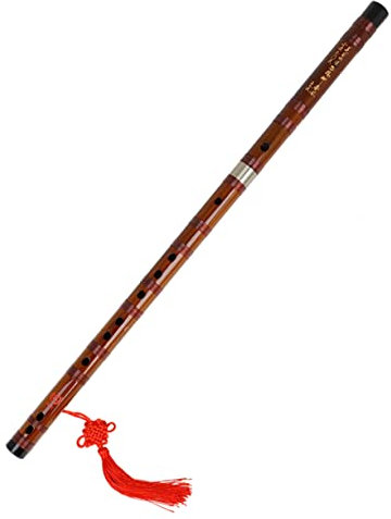 DRESSOOS Bambusflöte Für Anfänger Traditionelles Chinesisches Musikinstrument Leicht Und Tragbar Mit Schönem Muster Dur Für Unterricht Prüfungsvorbereitung Langlebig Und Sicher